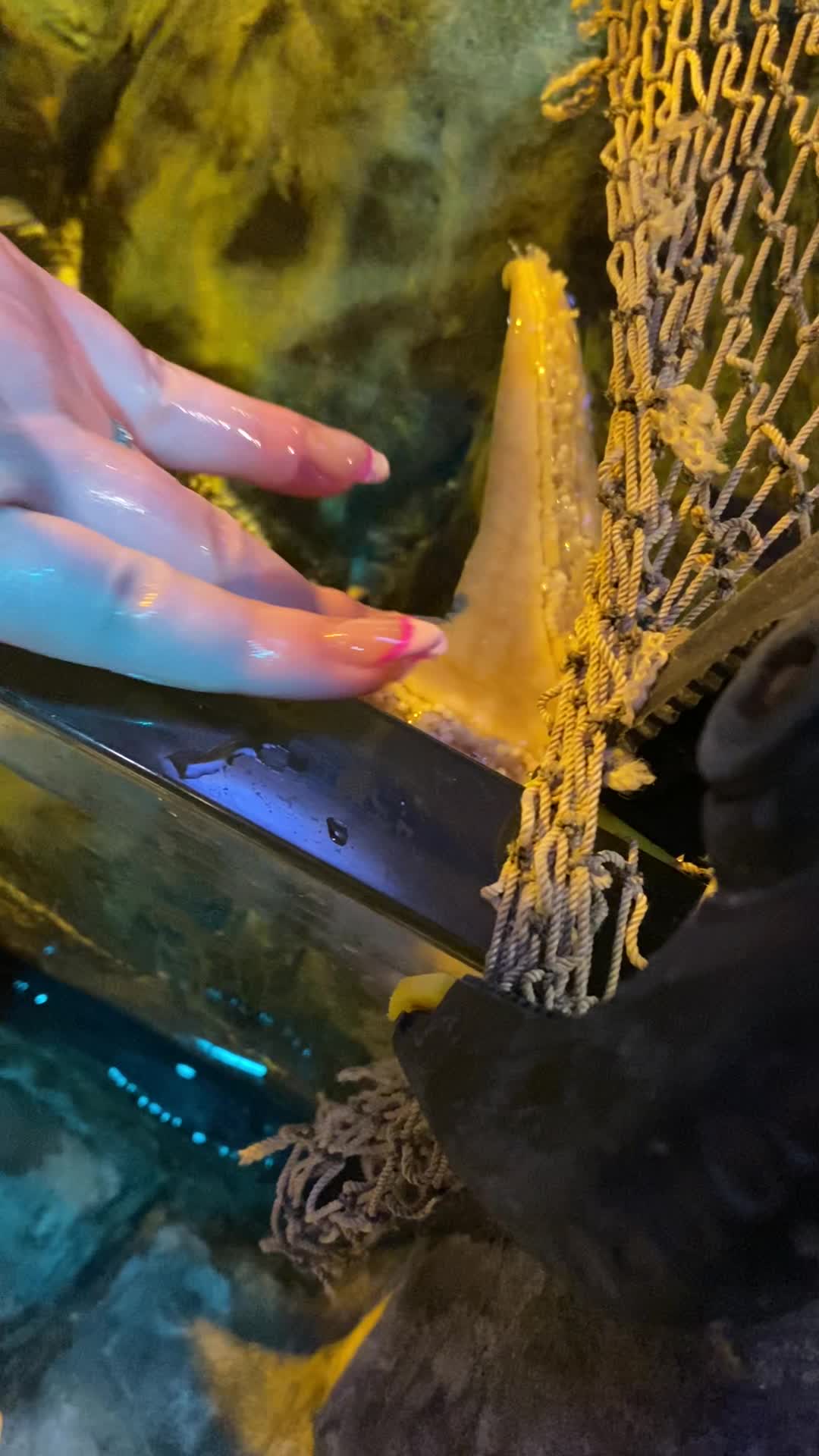 SEA LIFE Michigan Aquarium