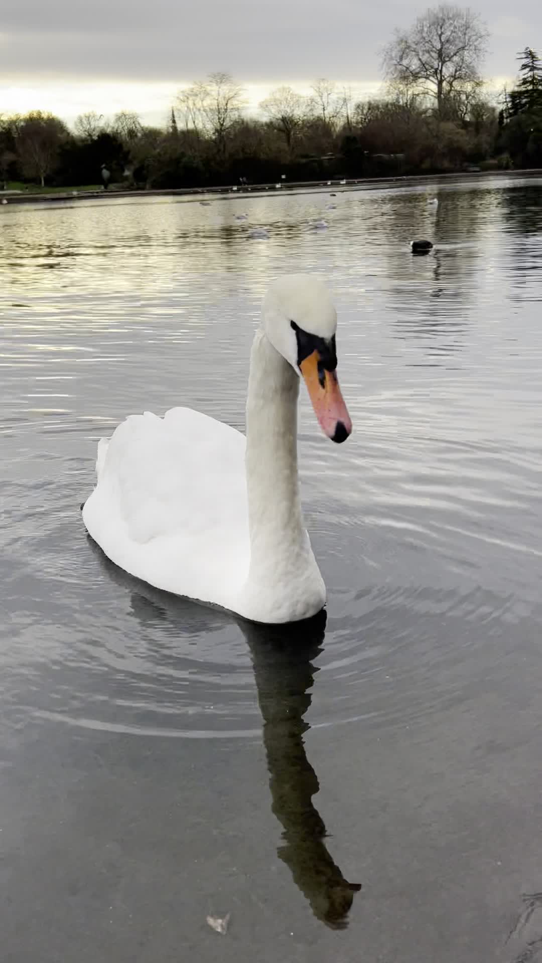 Hyde park
