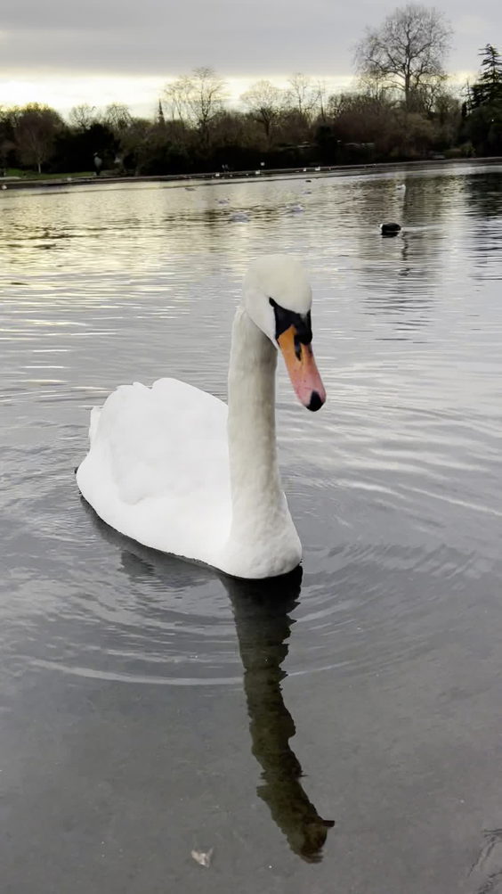 Hyde park