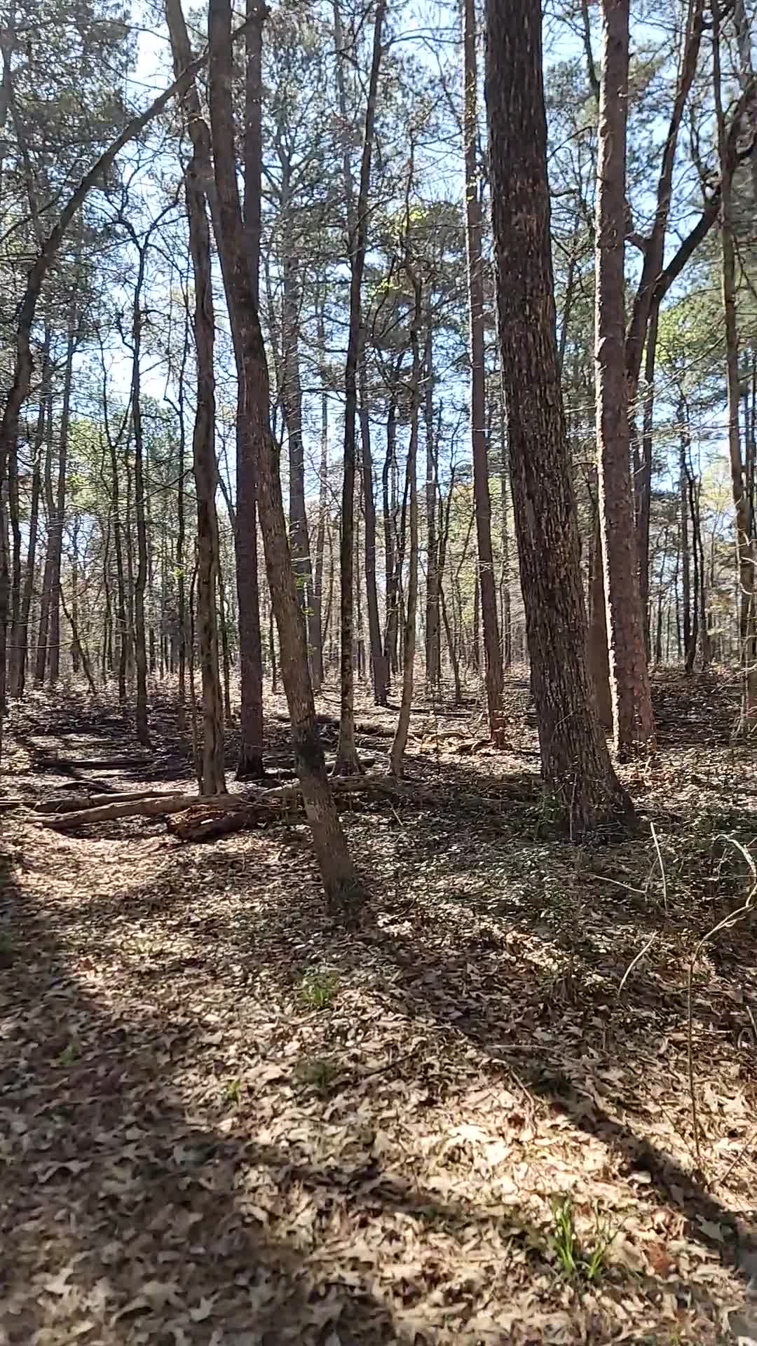 Huntsville State Park