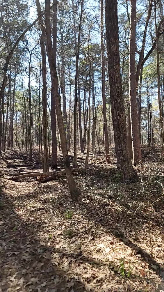 Huntsville State Park