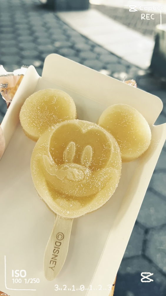 Tokyo Disney SEA