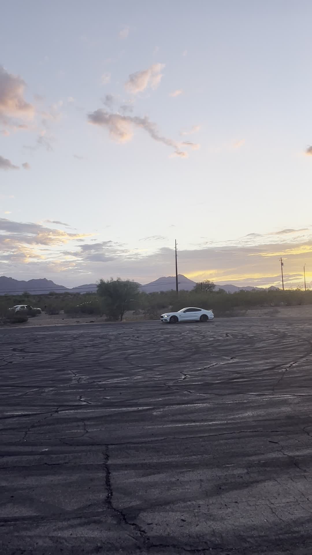 Arizona Lotus Corporation