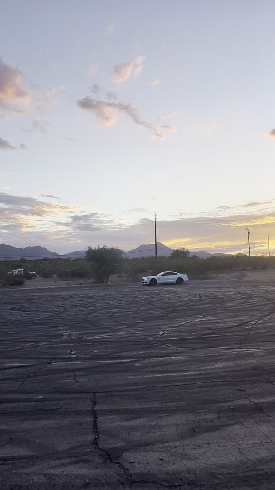 Arizona Lotus Corporation