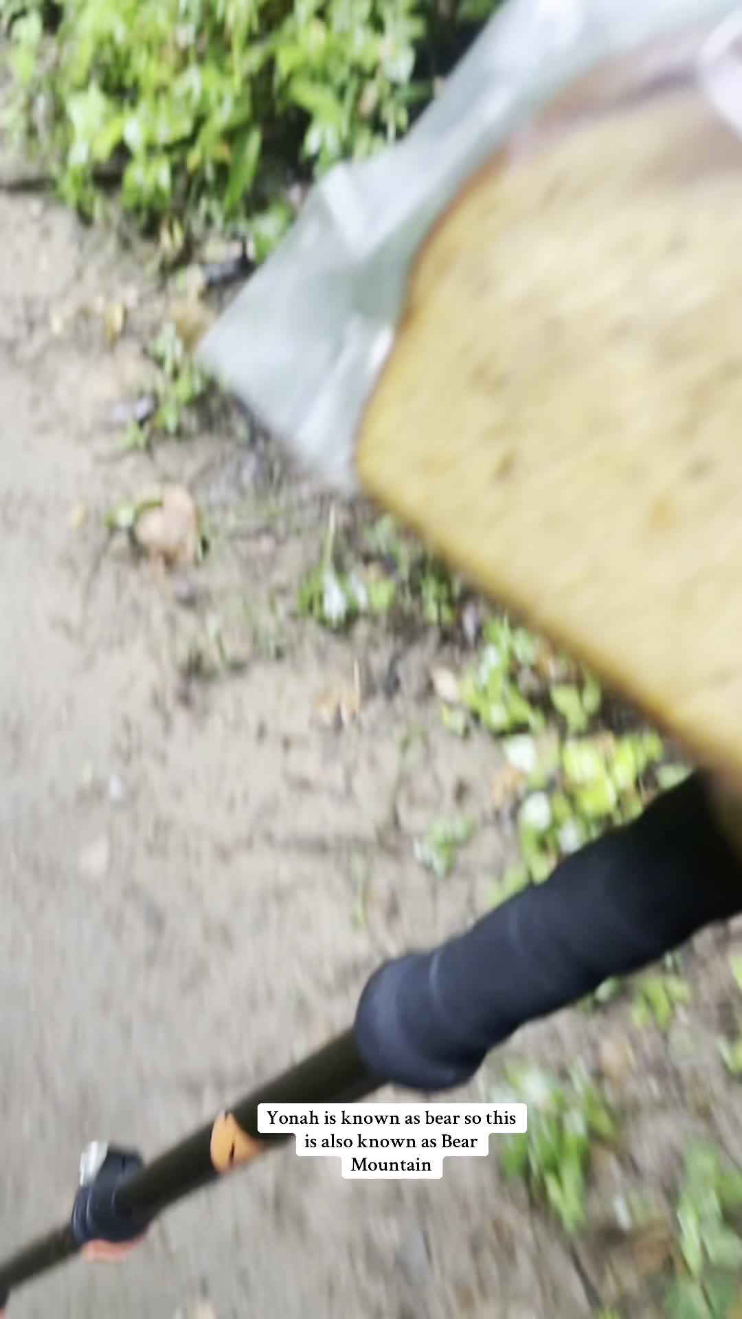 Video review of Yonah Mountain Trailhead