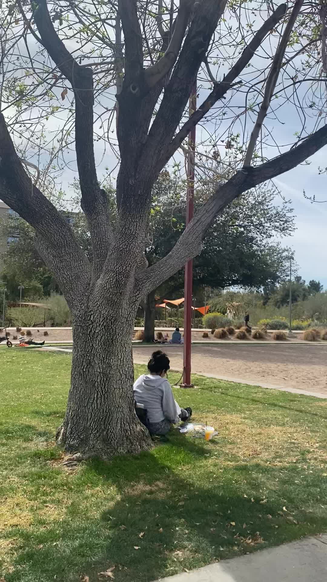 Video review of Margaret T Hance Park