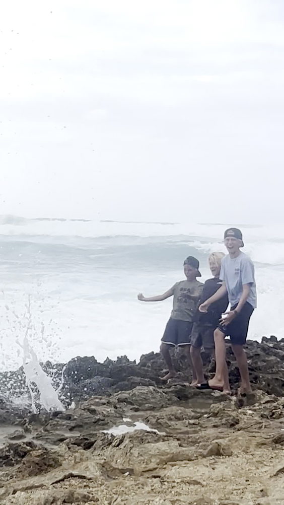Turtle Bay Resort
