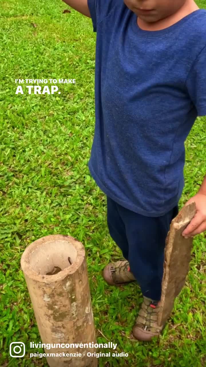 Refugio Puente de la Explanacion