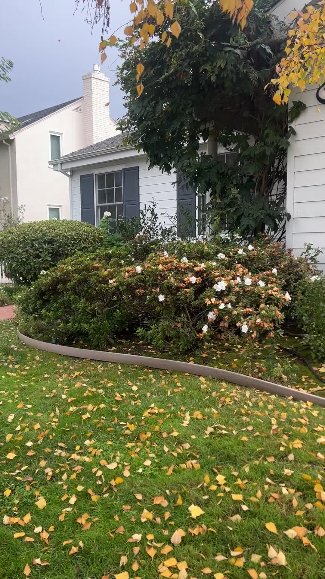 Video review of Washington Park