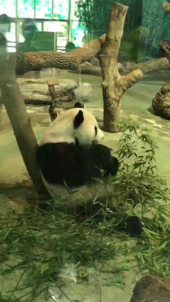 MRT Taipei Zoo Station (捷運動物園站)