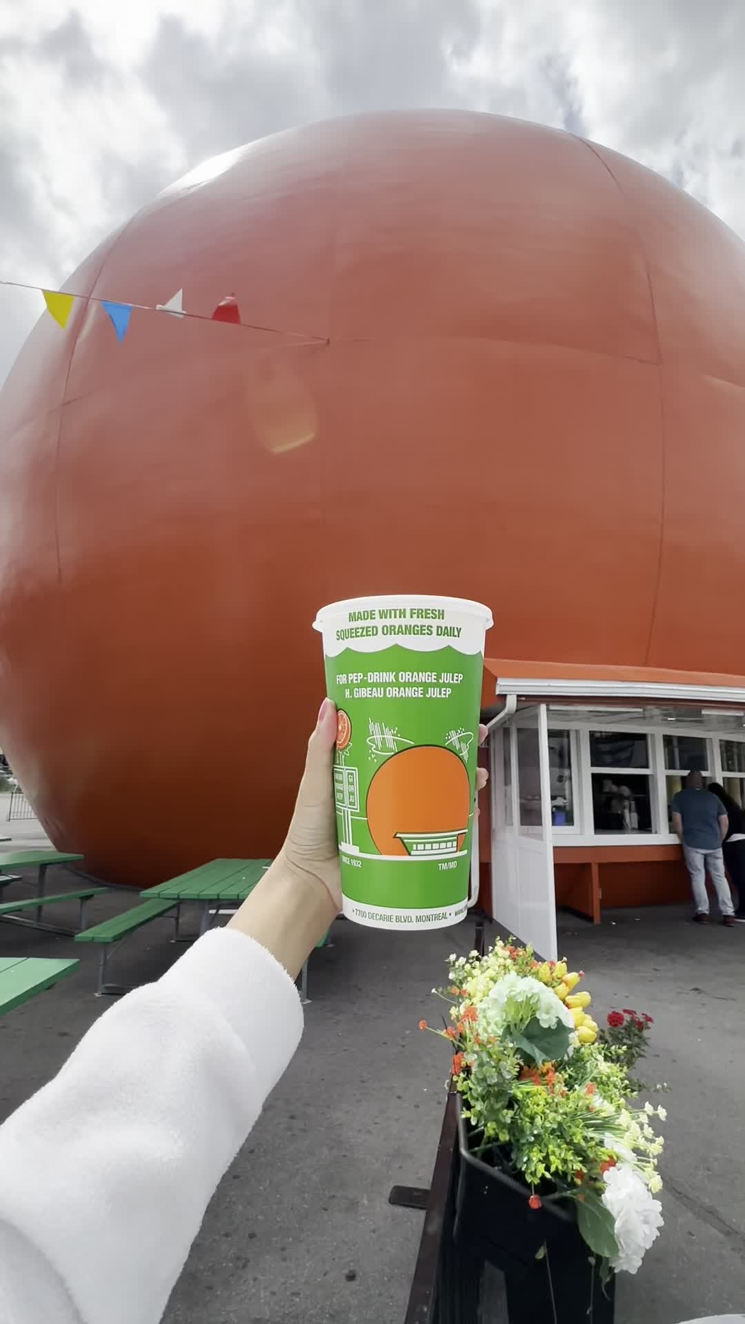 Video review of Gibeau Orange Julep