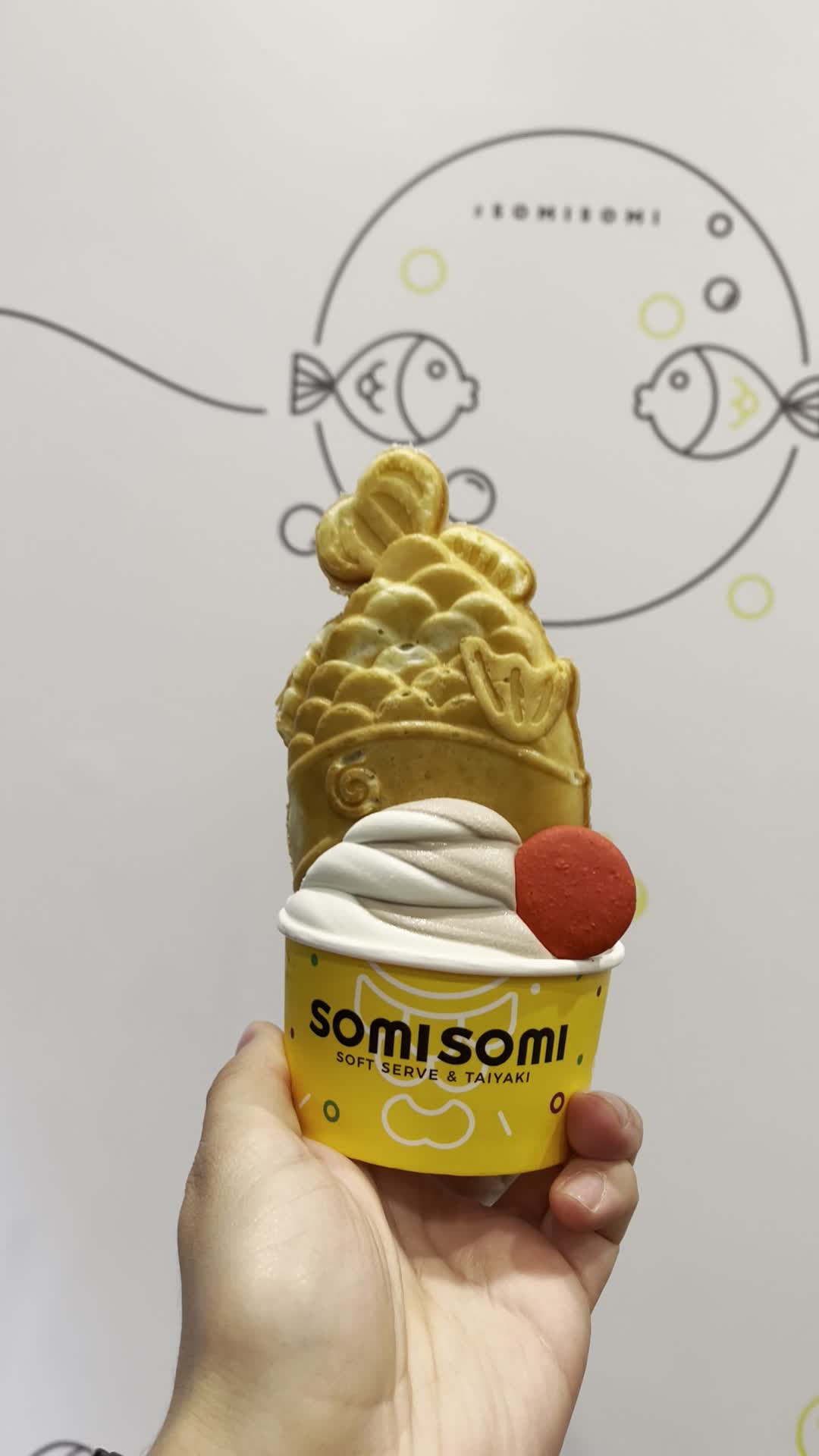 Video review of somi somi