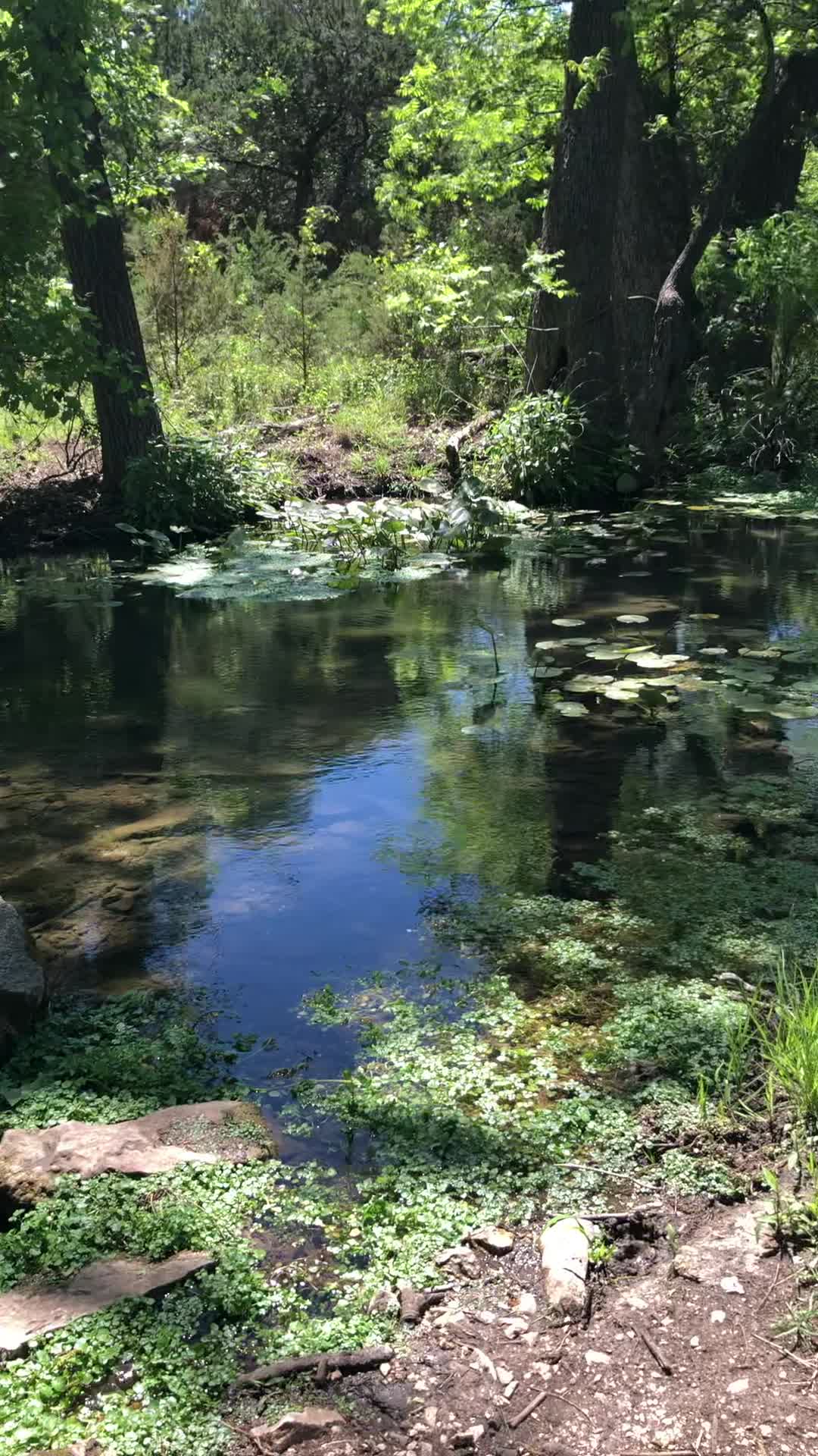 Colorado Bend State Park