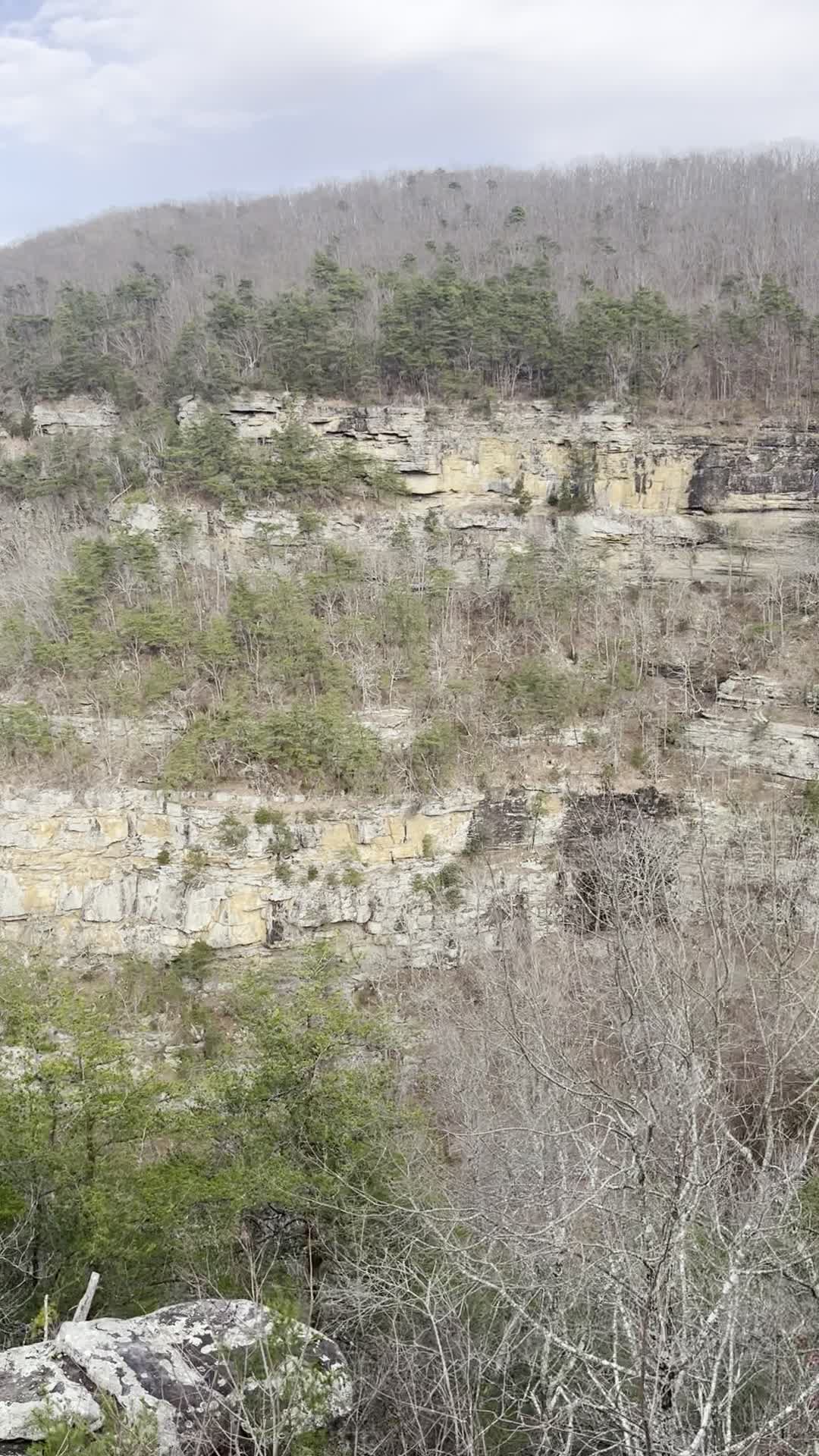 Cloudland Canyon State Park Cabins