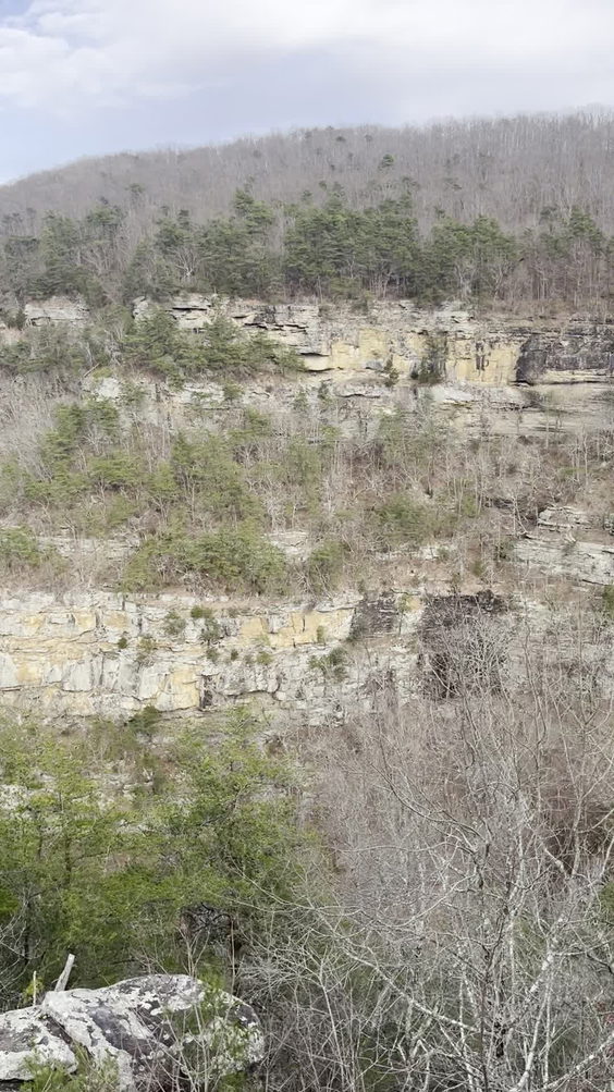 Cloudland Canyon State Park Cabins