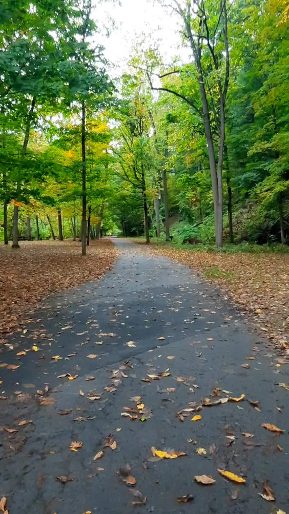 Robert H Treman State Park