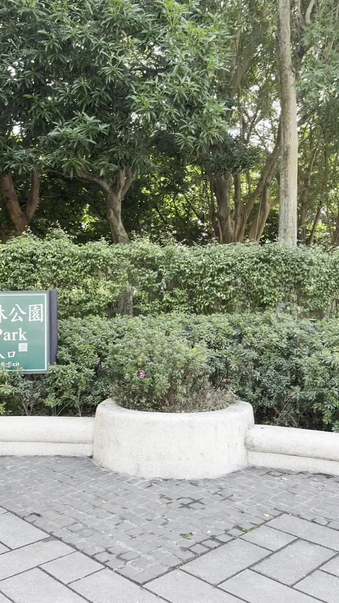 Daan Forest Park