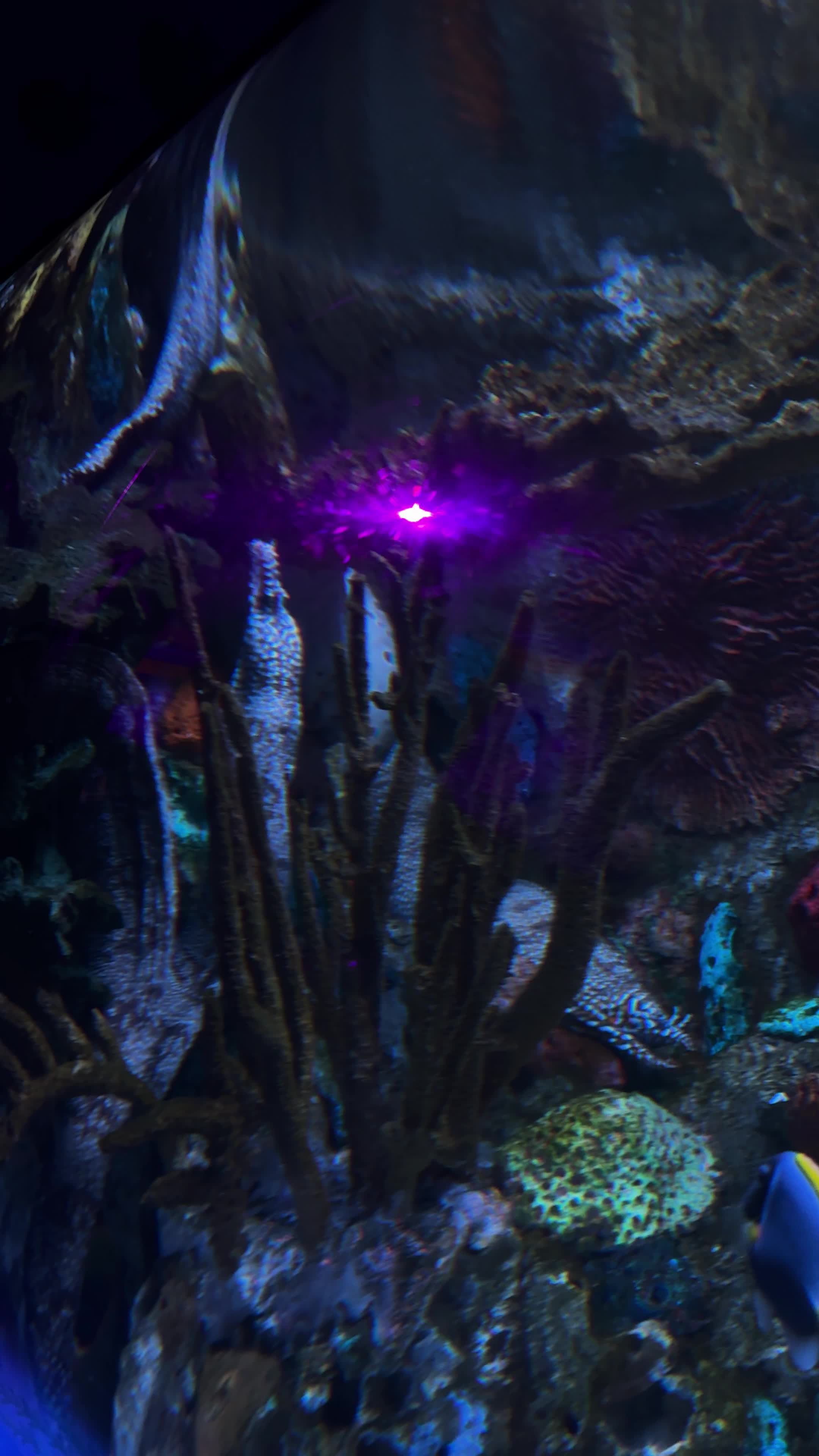 Ripley's Aquarium of the Smokies