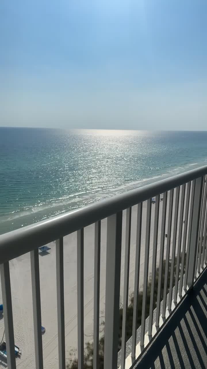 Shell Island Blue Dolphin Tours Panama City