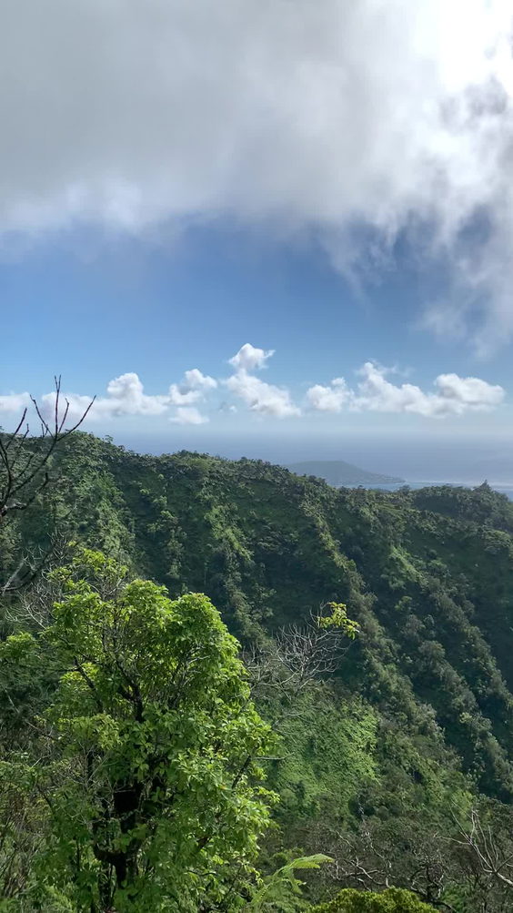 Wiliwilinui Trail