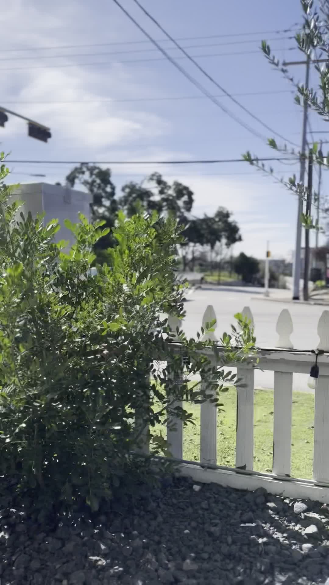 Tin Top Burgers & Beer