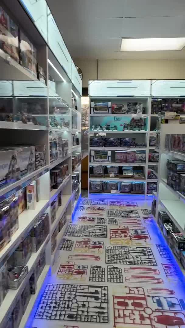 Video review of Tokyo Central & Main