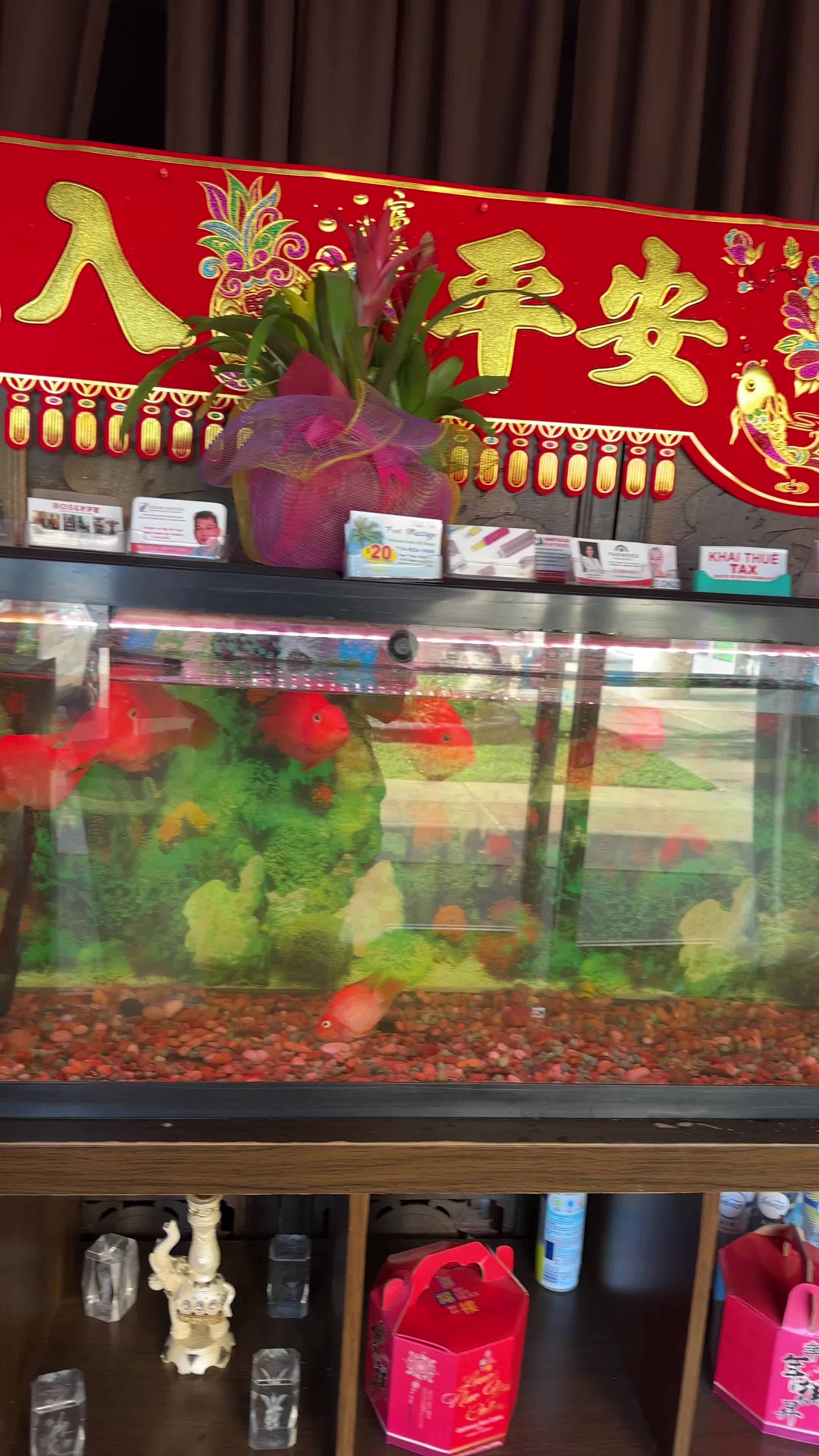 Palm Tree Foot Massage - Westminster