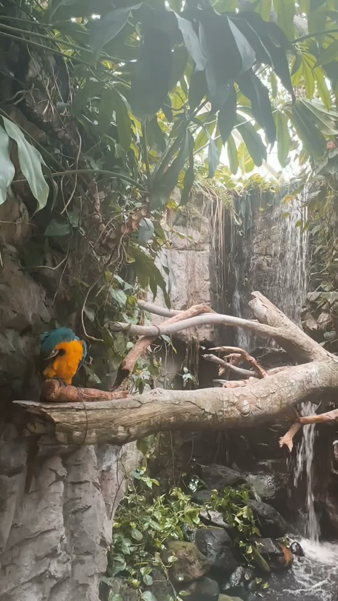 Video review of National Aquarium
