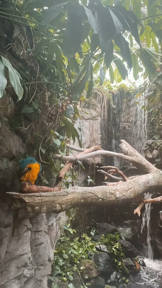 National Aquarium