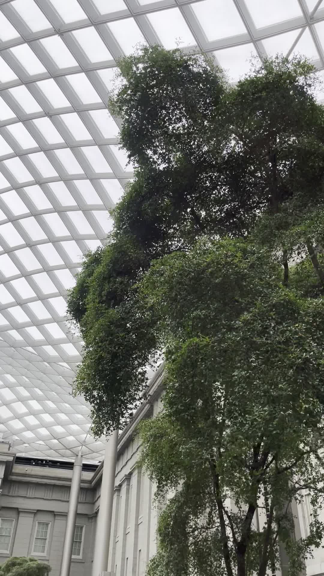 Smithsonian American Art Museum