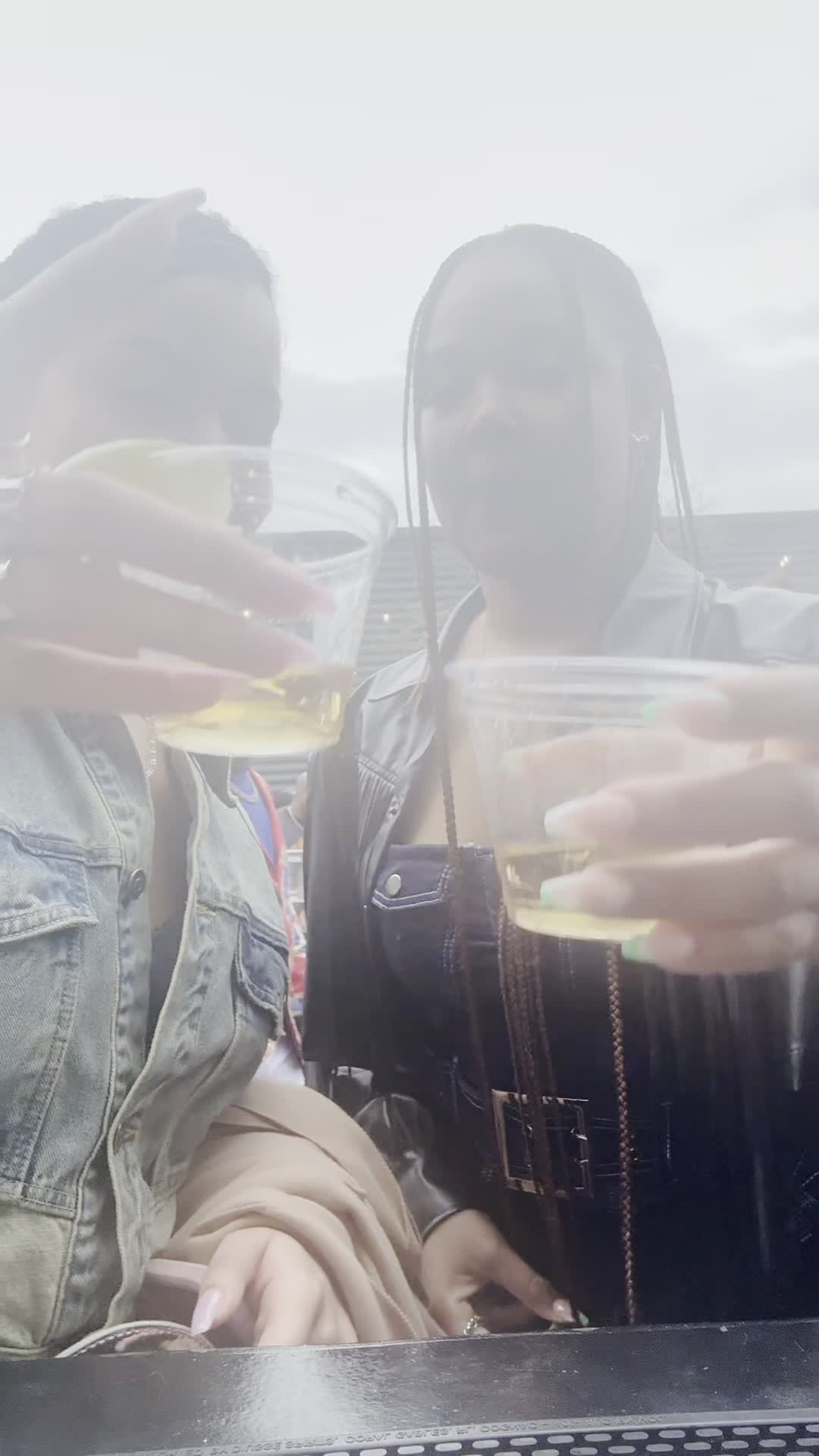 Video review of Chapman & Kirby