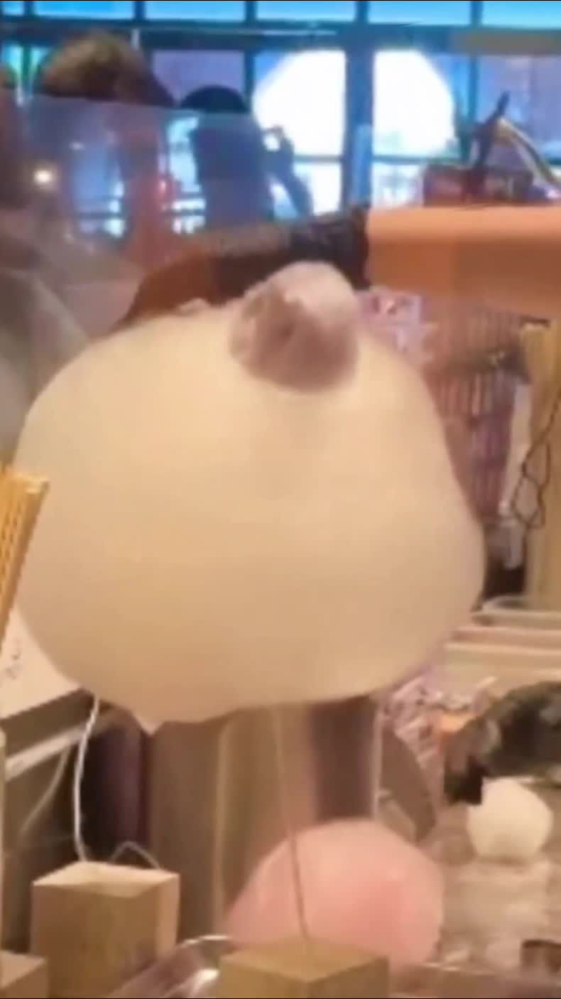 Fluffy's NYC