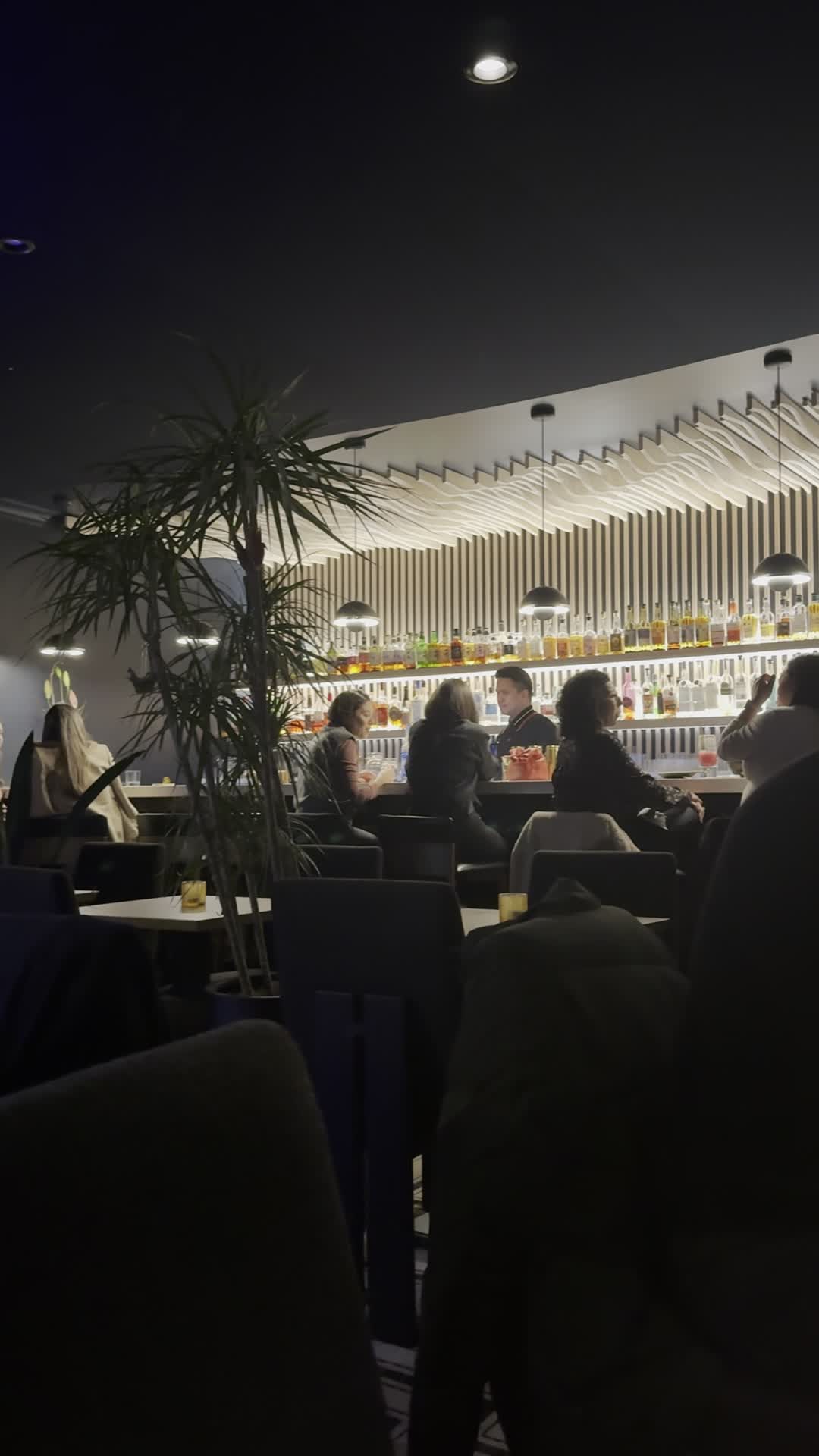 Video review of Bar Iris