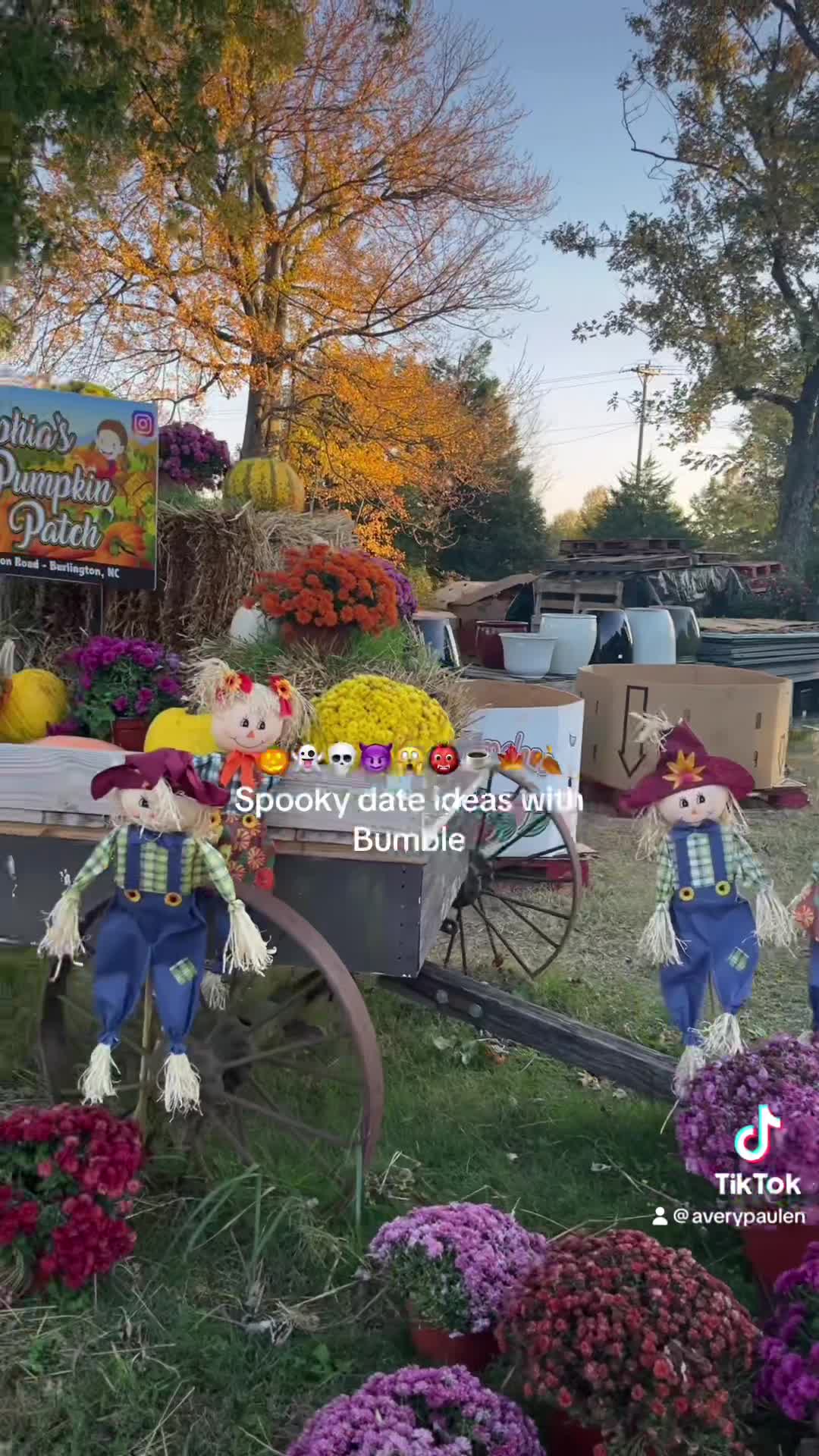 Sophia's Pumpkin Patch