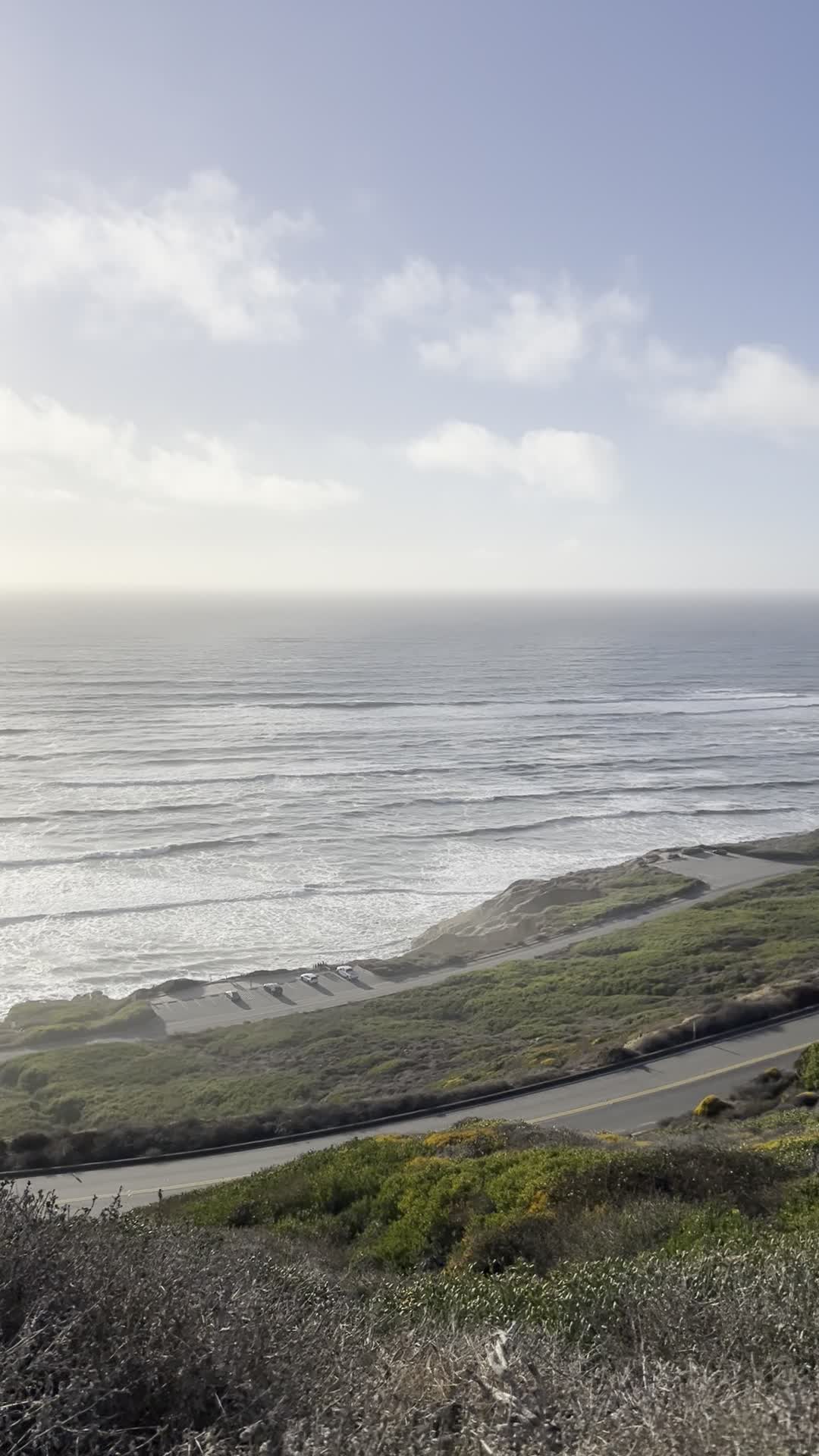 Cabrillo Tidepools
