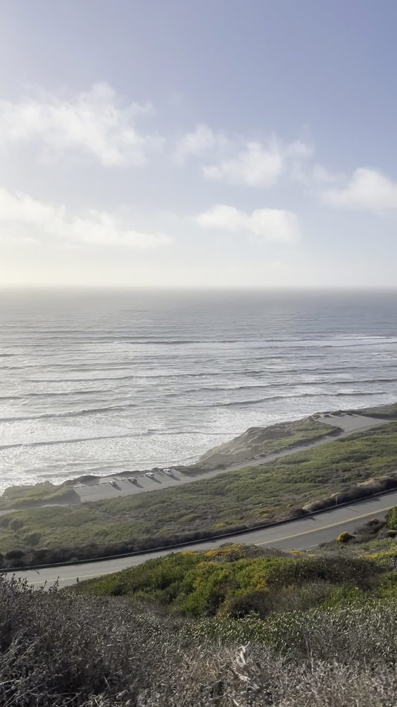 Cabrillo Tidepools
