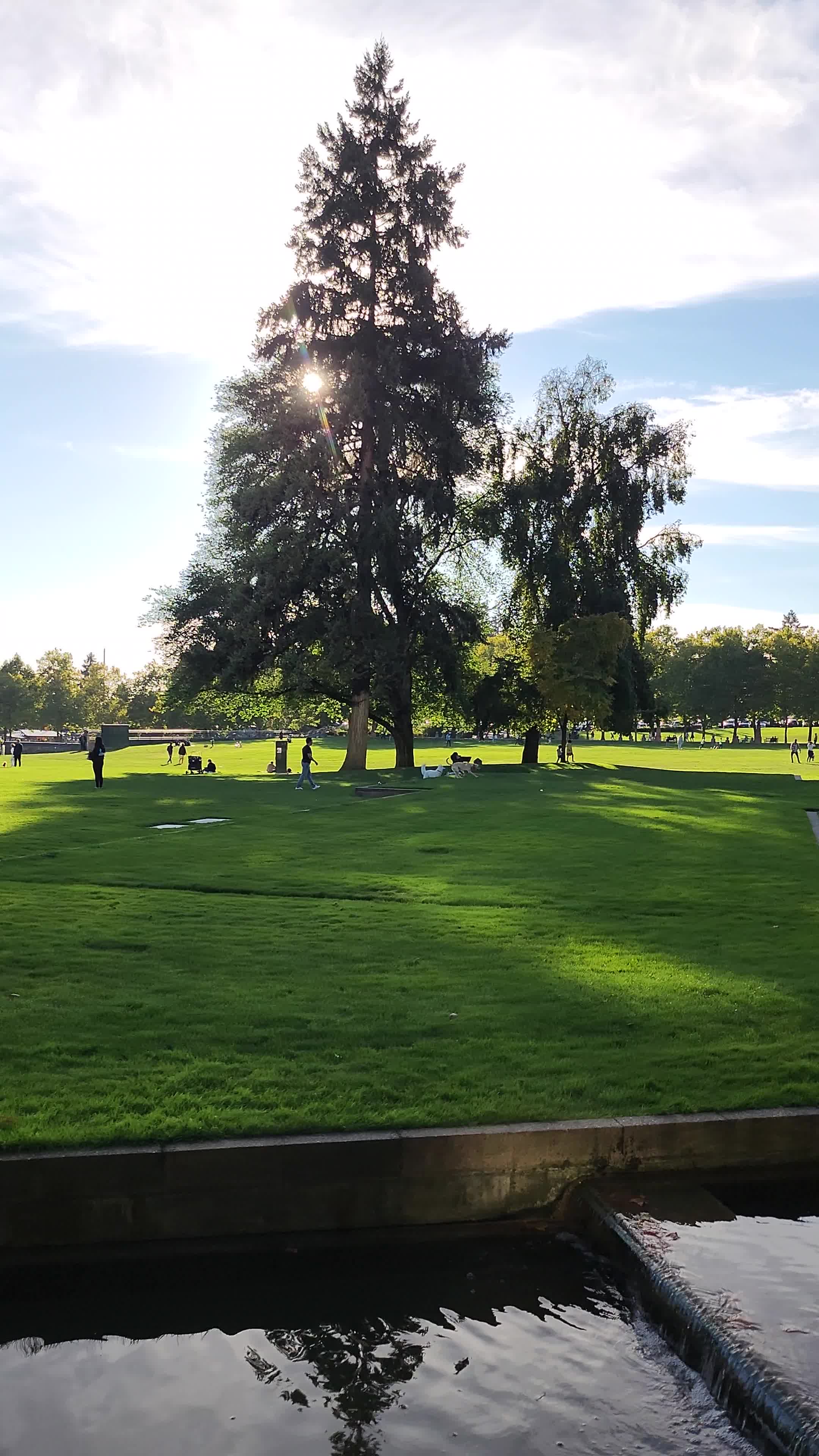 Video review of Bellevue Downtown Park
