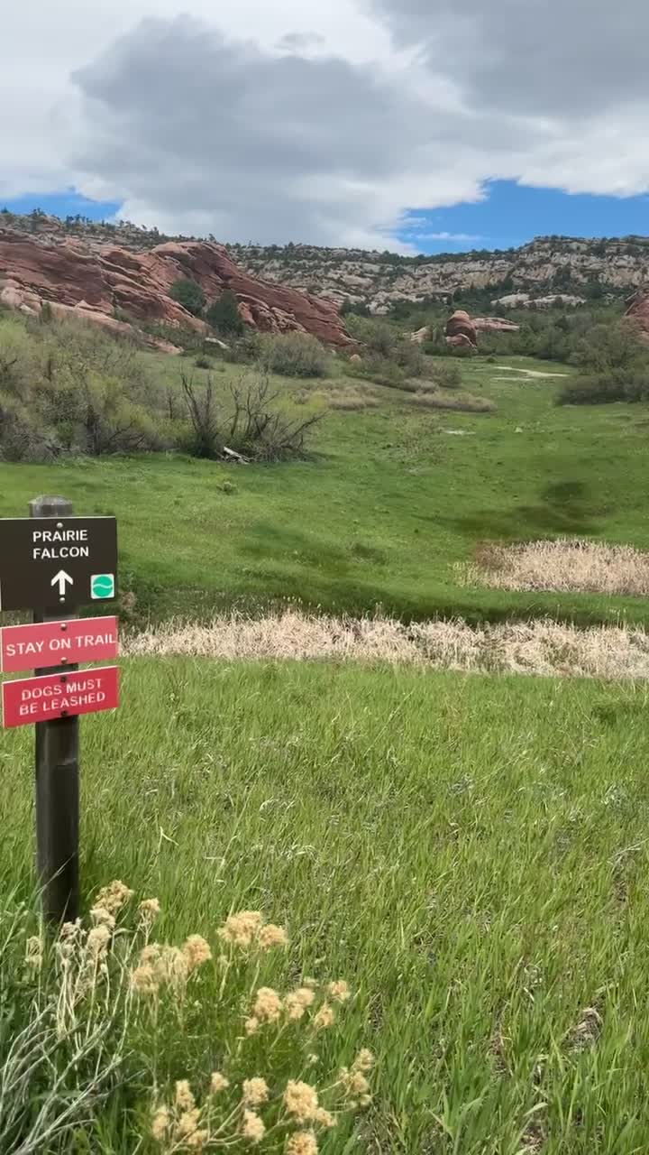 Video review of South Valley Park