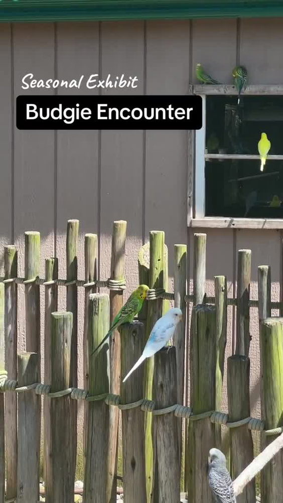 Bergen County Zoological Park