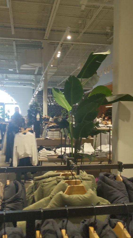 Aritzia