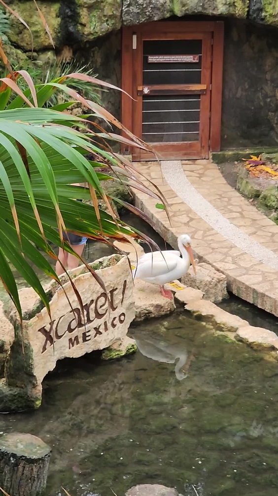 Xcaret