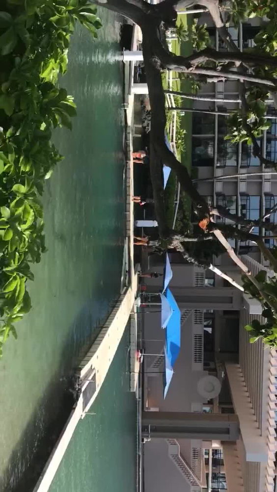Hilton Waikoloa Village