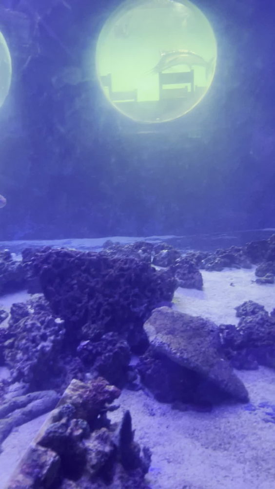 East Idaho Aquarium