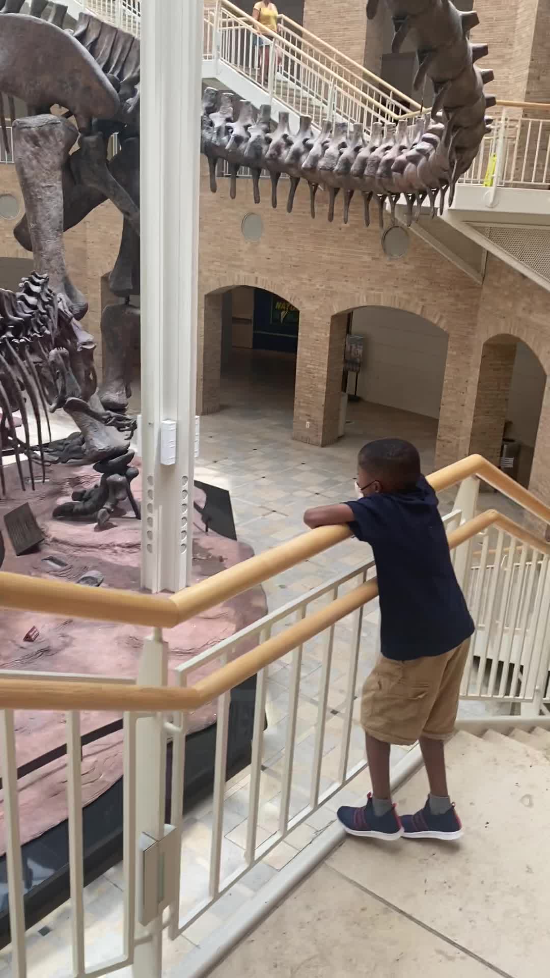 Fernbank Museum | 3D Theater | Forest