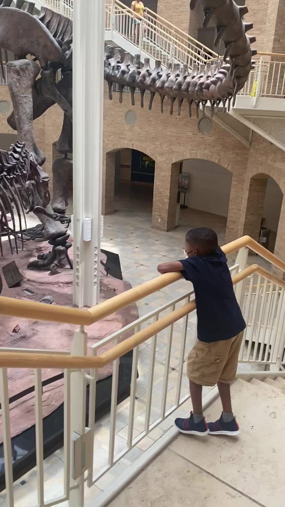 Fernbank Museum | 3D Theater | Forest