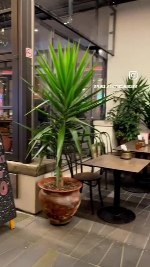 Casablanca Cafe Sylvia Park
