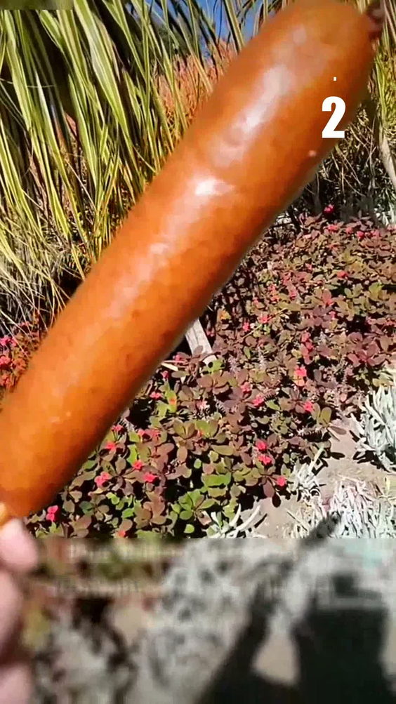 Blue Ribbon Corn Dogs