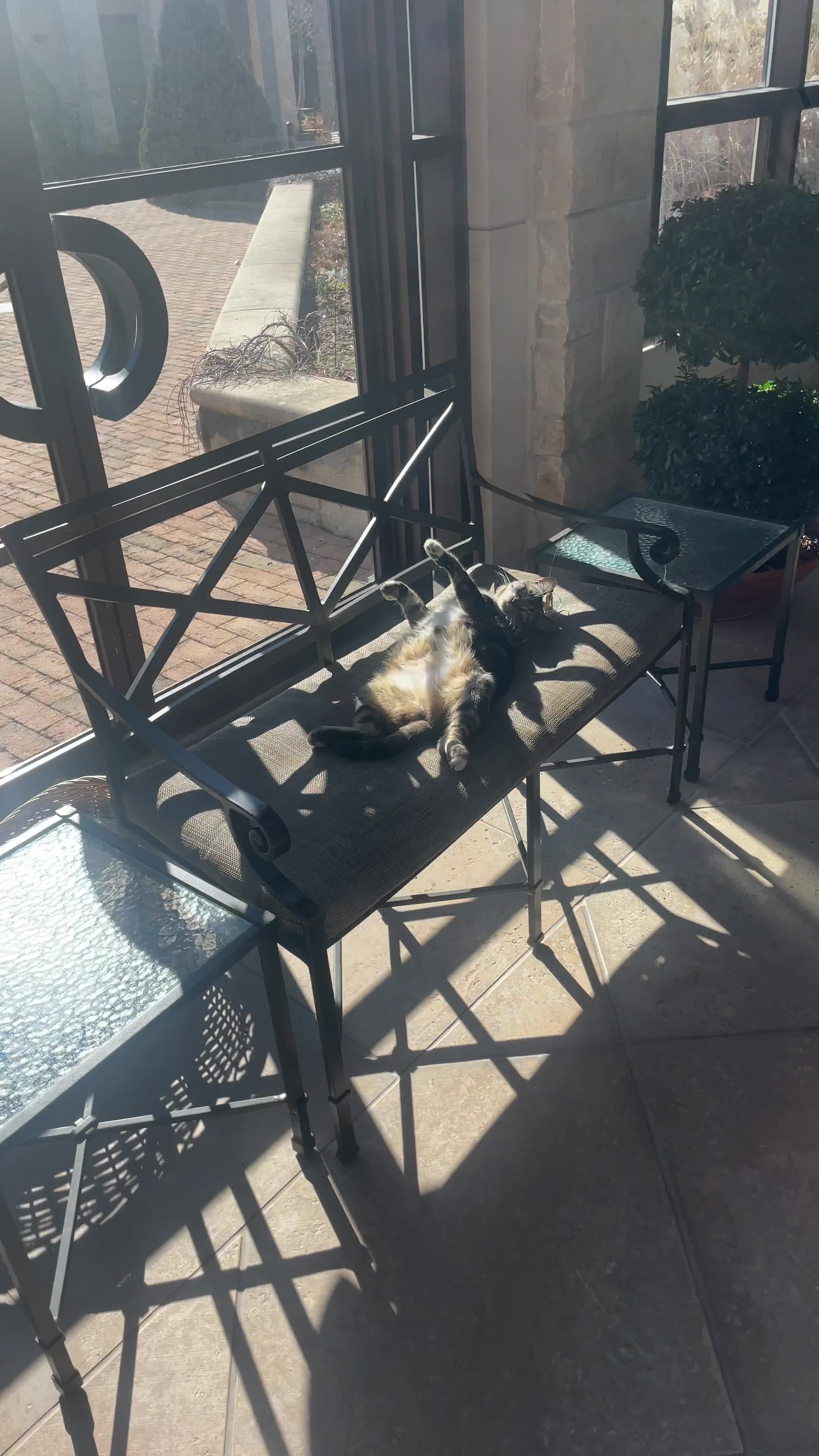 Kauffman Memorial Garden