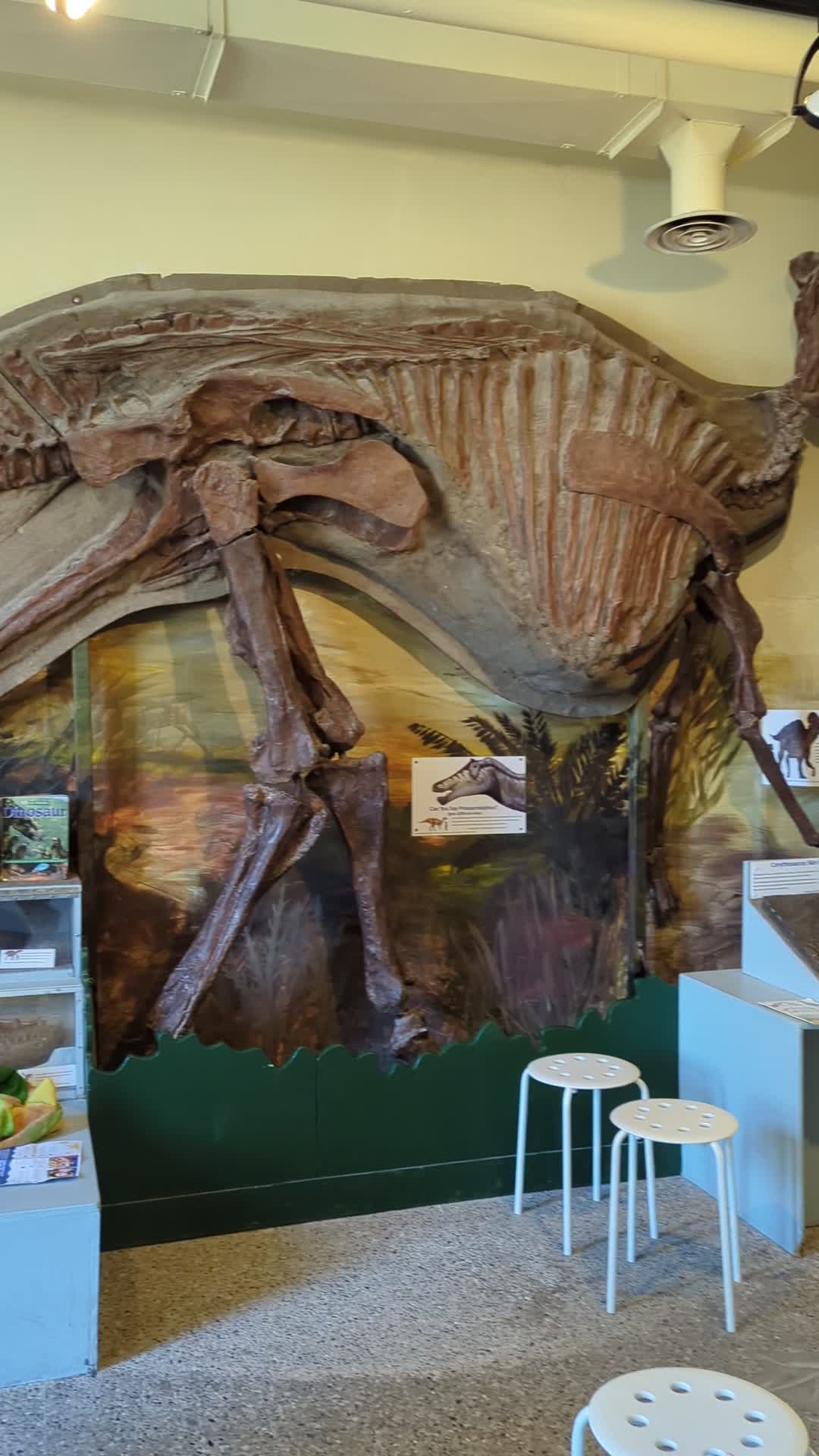 London Children's Museum