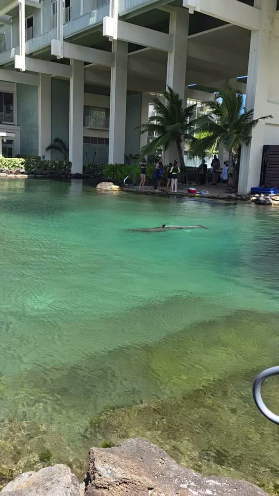Kahala